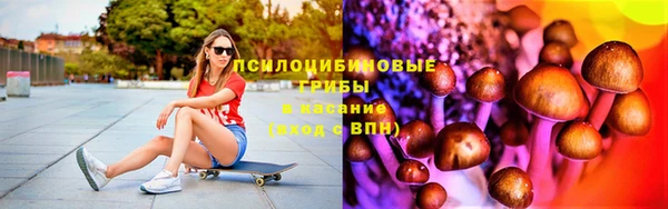spice Баксан