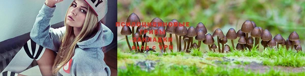mdpv Балахна