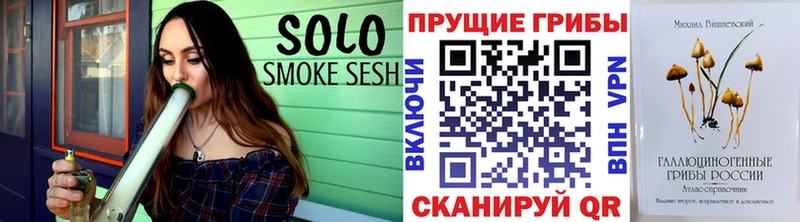 купить закладку  Красково  MEGA как войти  Псилоцибиновые грибы Psilocybe 